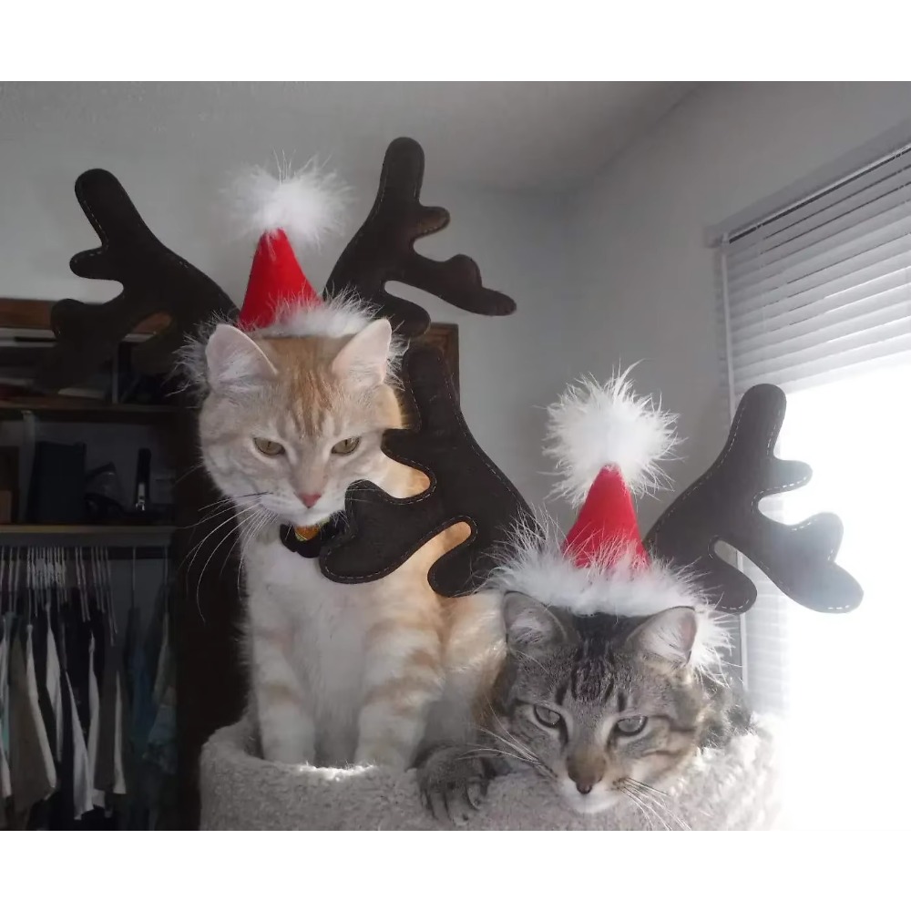 طوق رأس على شكل قرون الرنة لعي - مراجعة Reindeer Antlers Headband وسعره